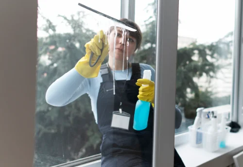 Nettoyage de vitres intérieures et extérieures à Avaray